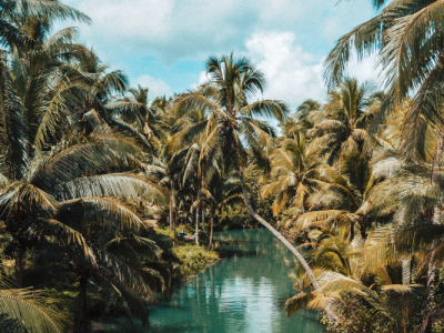 rolands-varsbergs-miKmVyq3qhE-unsplash-1